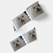 Ruban Gros-grain Chien maltais blanc (Dos)