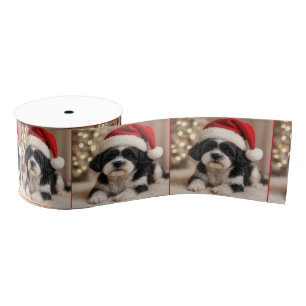 Ruban Gros-grain Chien Shih Tzu de Noël avec chapeau de Père Noël