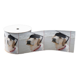 Ruban Gros-grain Diplômé Labrador Retriever avec bonnet
