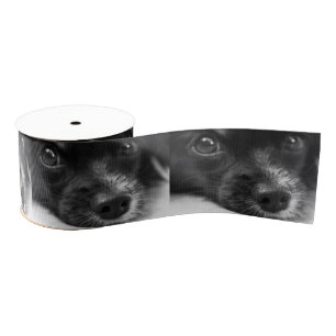 Ruban Gros-grain face papillon