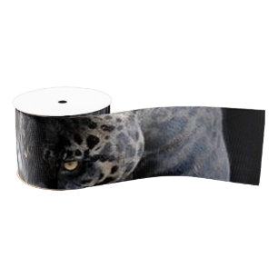 Ruban Gros-grain Gros plan de la bobine de ruban Jaguar Diablo