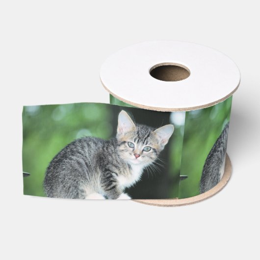 Ruban Gros-grain Kitten (Bobine)