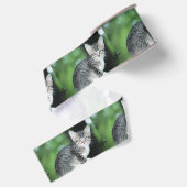 Ruban Gros-grain Kitten (Dos)