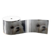 Ruban Gros-grain Maltais adorable (Bobine)