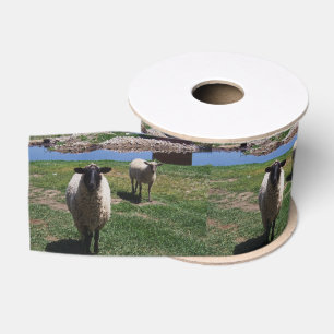 Ruban Gros-grain Moutons curieux