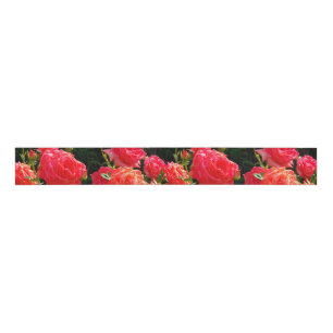Ruban Gros-grain Roses de corail romantique