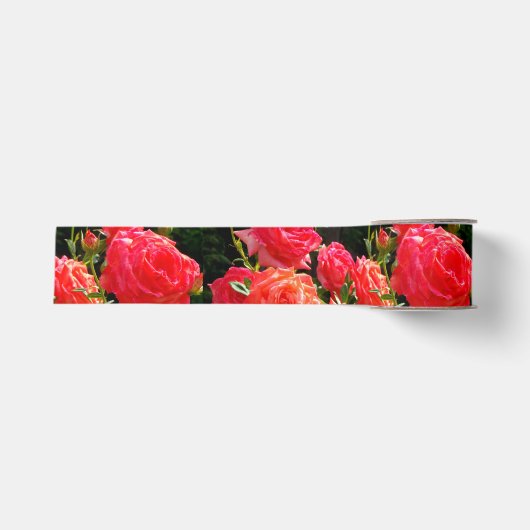Ruban Gros-grain Roses de corail romantique (Devant)