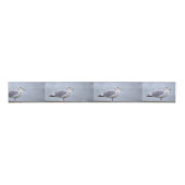 Ruban Gros-grain Seagull Photo Ribbon (Devant)