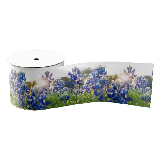 Ruban Gros-grain Texas Bluebonnets Fleurs bleues Texan Floral (Bobine)