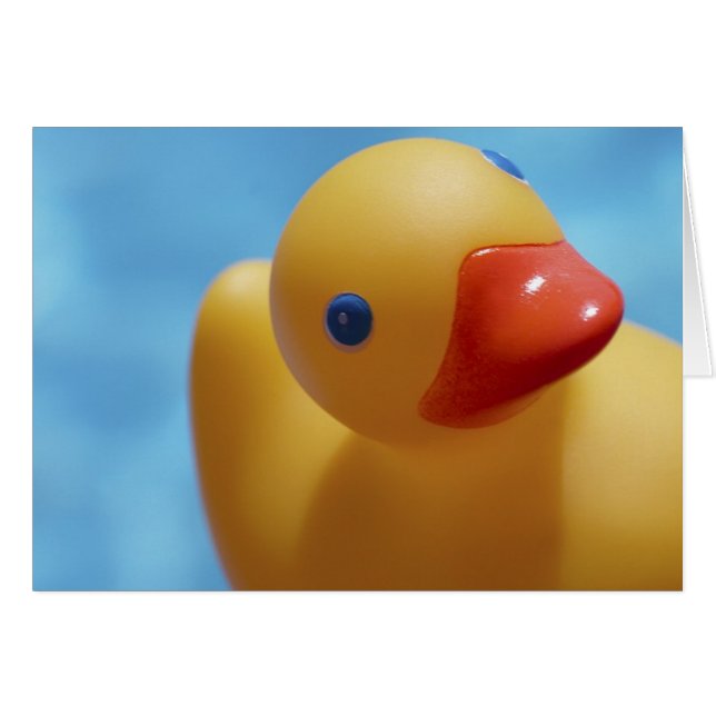 Rubber Duck Close-up (Voorkant Horizontaal)