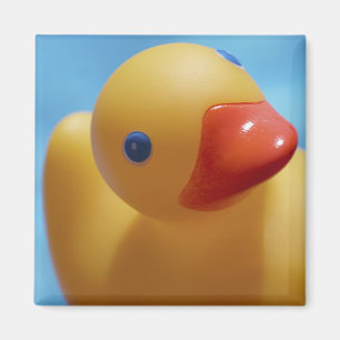 Rubber Duck Close-up Magneet