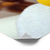 Rubber Ducky Poster (Hoek)