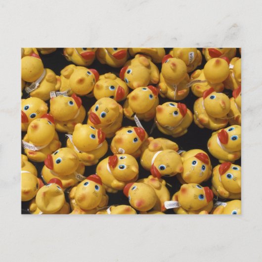 Rubber ducky race - Carte postale (Devant)
