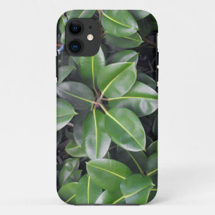 Rubber Tree Closeup iPhone 11 Hoesje