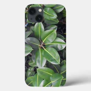 Rubber Tree Closeup iPhone 13 Hoesje