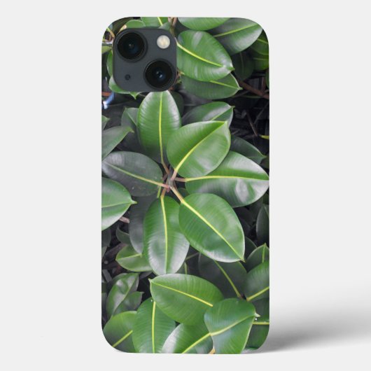 Rubber Tree Closeup Case-Mate iPhone Case (Achterkant)