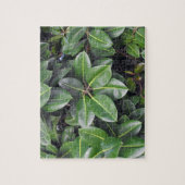 Rubber Tree Closeup Legpuzzel (Verticaal)