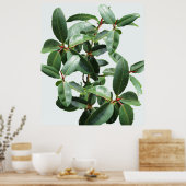 RUBBER TREE GEDROOGD IN RAINDROPS POSTER (Keuken)