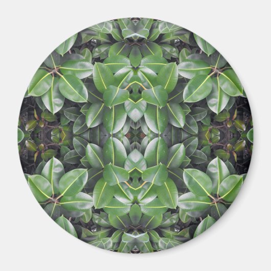 Rubber Tree Leaf Patroon Magneet (Voorkant)