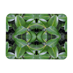 Rubber Tree Patroon Magneet