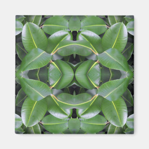 Rubber Tree Patroon Magneet