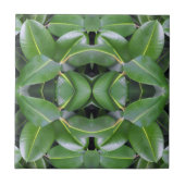 Rubber Tree Patroon Tegeltje (Voorkant)