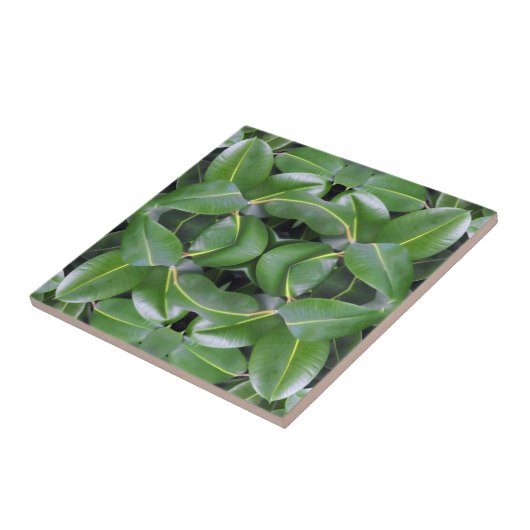 Rubber Tree Patroon Tegeltje (Zijkant)