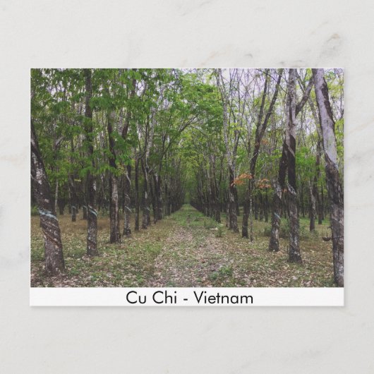 Rubberbos - Cu Chi - Vietnam Briefkaart (Voorkant)