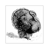 rubberen moeras Turkije Rubberstempel (Afrduk)