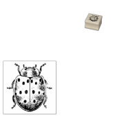 Rubberen stempel met lieveheersbeestje (Gestempeld)