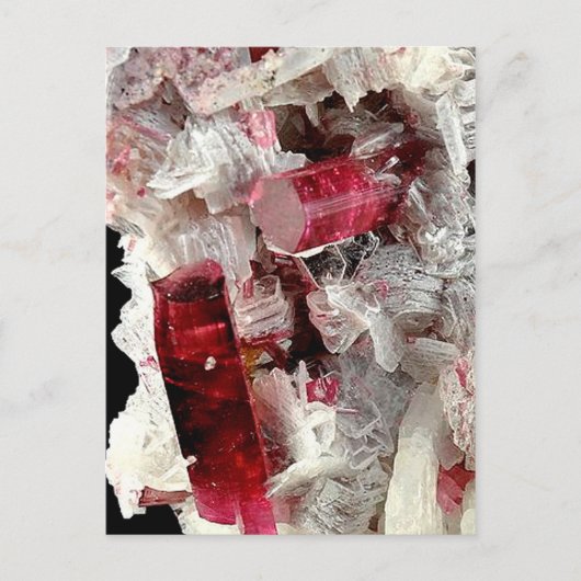 Rubellite Briefkaart (Voorkant)