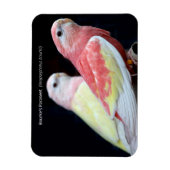 Rubino Bourke's parkiet Magneet (Verticaal)