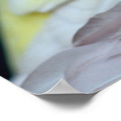 Rubino Bourke's parkiet Poster (Hoek)