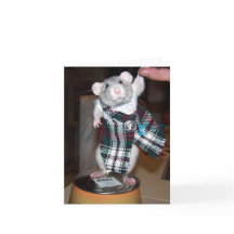 Rubis dans sa carte de kilt