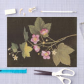 Rubus Odoratus van Mary Delany Tissuepapier (Craft)