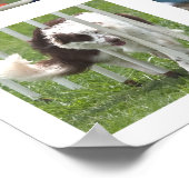 Ruby Agility Poster (Coin)