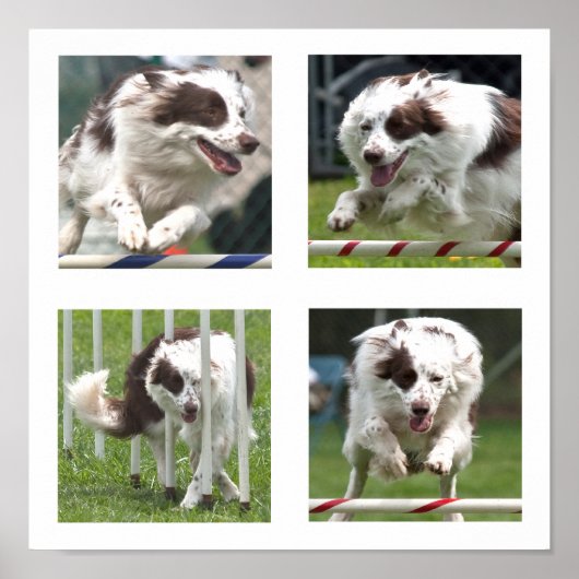 Ruby Agility Poster (Devant)