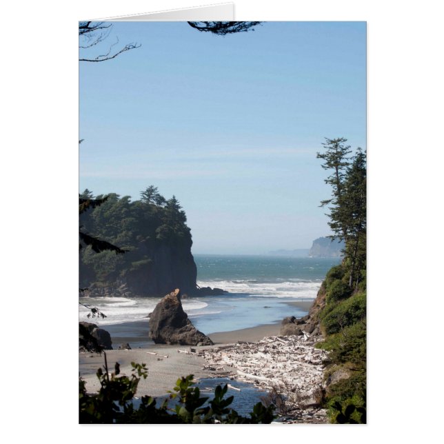 Ruby Beach op het Olympisch schiereiland, WA (Voorkant)