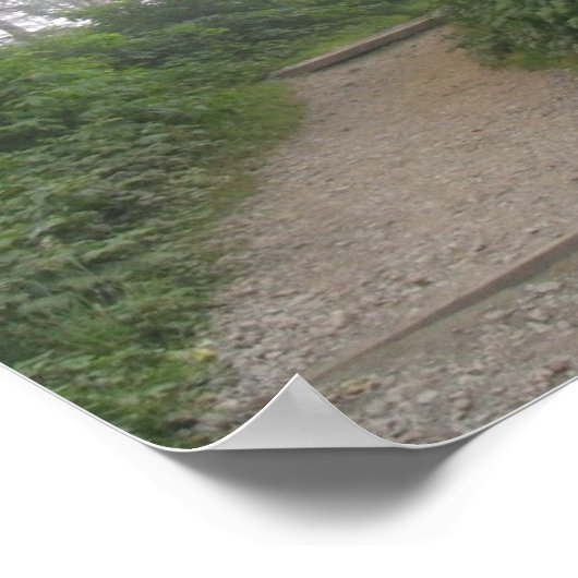 Ruby Beach, Pacific Coast - WA Poster (Hoek)