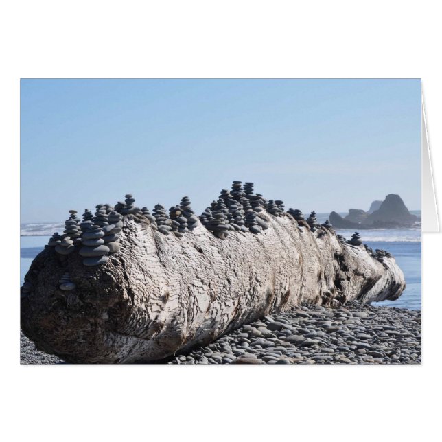 Ruby Beach sur la péninsule olympique, WA (Devant horizontal)