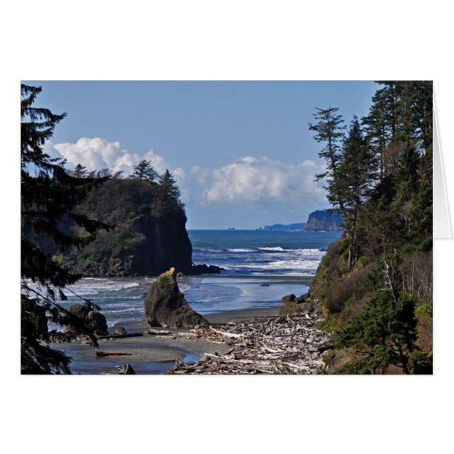 Ruby Beach sur la péninsule olympique, Washington  (Devant horizontal)