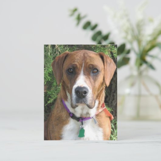 Ruby Briefkaart (Staand voorkant)