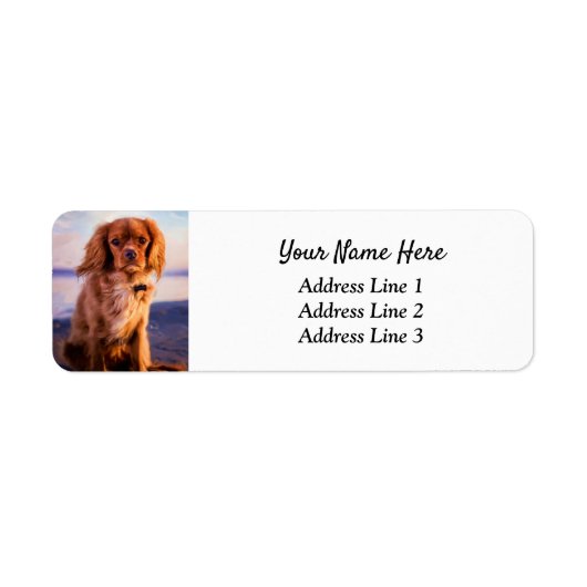 Ruby Cavalier King Charles Return Etiket (Voorkant)