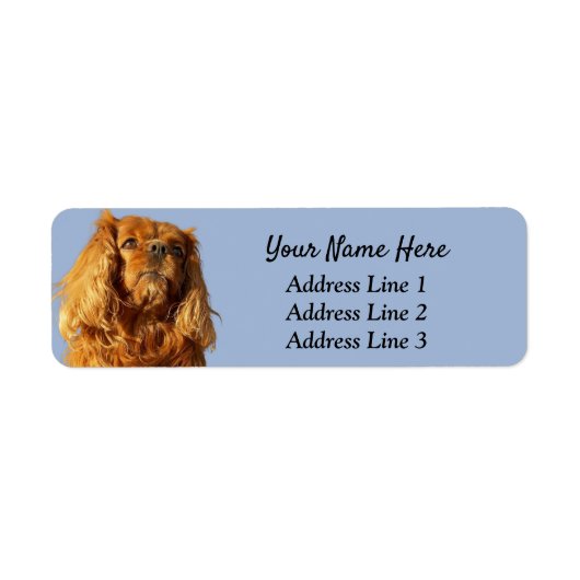 Ruby Cavalier King Charles Return Etiket (Voorkant)