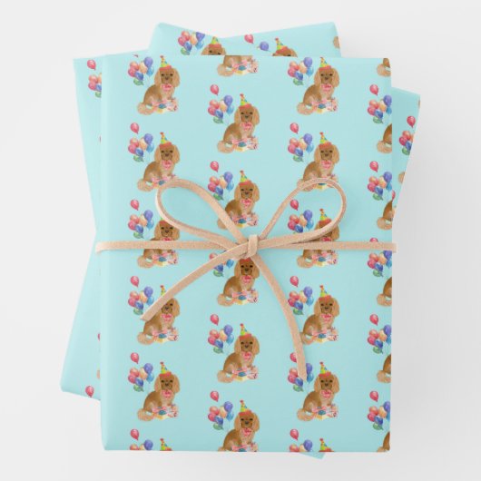 Ruby Cavalier King Charles Spaniel Birthday   Inpakpapier Vel (In situ)