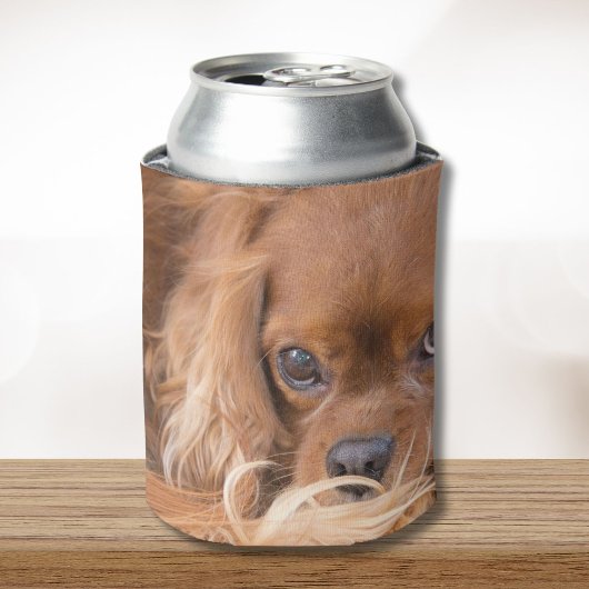 Ruby Cavalier King Charles Spaniel Blikjeskoeler