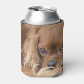 Ruby Cavalier King Charles Spaniel Blikjeskoeler (Blikje Voorkant)