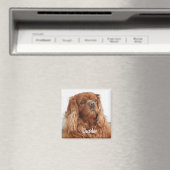 Ruby Cavalier King Charles Spaniel Chien Magnet (In Situ (Lave-vaisselle))