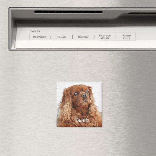 Ruby Cavalier King Charles Spaniel Chien Magnet (In Situ (Lave-vaisselle))