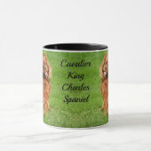 Ruby Cavalier King Charles Spaniel Chien Mug (Centre)